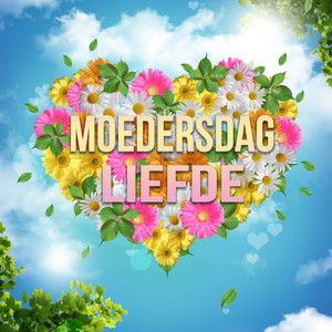 Ek Kies Jou