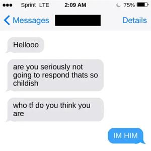 IM HIM (feat. Moses Todd) (Explicit)