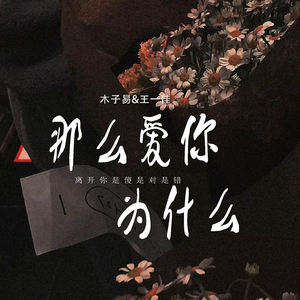 那么爱你为什么 (离开你是傻是对是错)