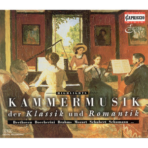 Chamber Music (Romantic 19th Century) - SCHUBERT, F. / WEBER, C.M. von / SPOHR, L. / BRAHMS, J. / GRIEG, E. / SCHUMANN, R. / BOCCHERINI, L.