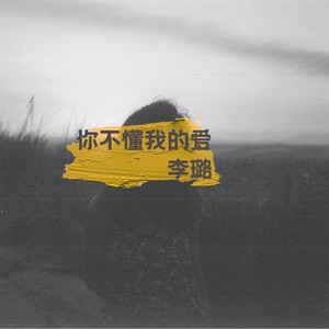 李璐 - 你不懂我的愛