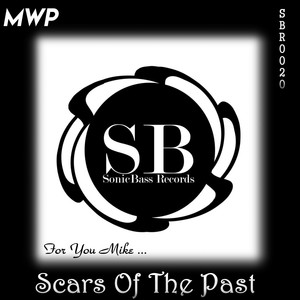 Scars Of The Past (Original Mix)