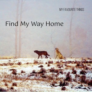 Find My Way Home