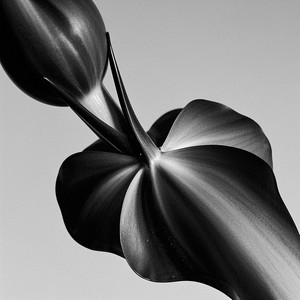 Can’t Find My Way Back