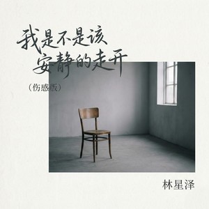 我是不是该安静的走开 (伤感版)封面