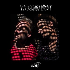 Verlorenes Licht (Bird Remix)