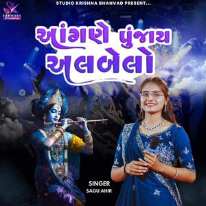 આંગણે પુજાય અલબેલો ll Sagu Ahir ll Kanudo Song || Akhi Duniya No Nath Kanudo