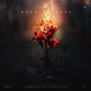 Burning Rose