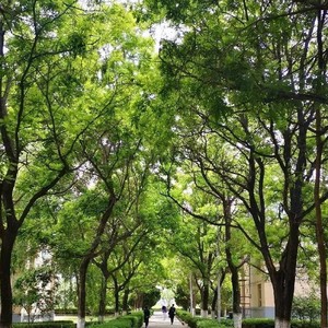 那一年盛夏 (伴奏)