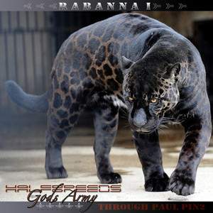 How Do You Start a Revolution