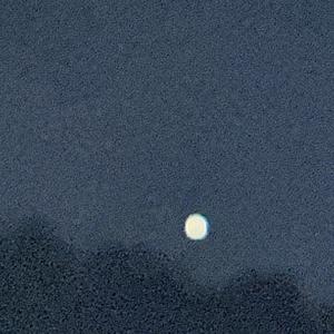 Lets Go Freestyle (Explicit)