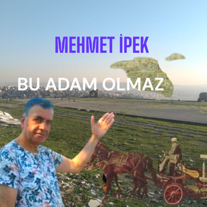 bu adam olmaz