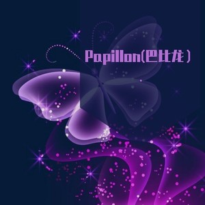 papillon巴比龙