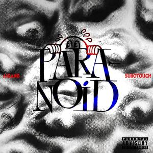 Paranoid (feat. SuboTouch & EllessGee) [Explicit]