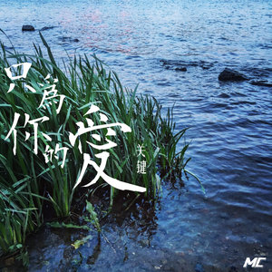 JUST FOR YOUR LOVE-关键