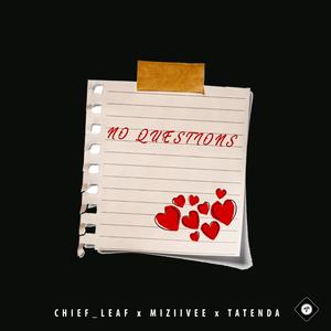 No Questions (feat. Chief_Leaf & Tatenda)