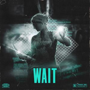 Wait (Explicit)