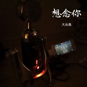 想念你