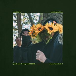 Pushing Daisies (feat. greenSLLIME) (Explicit)