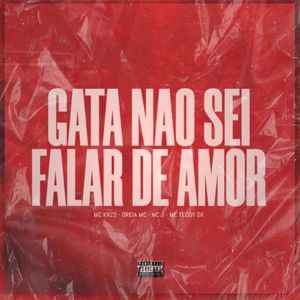 Gata Não Sei Falar de Amor
