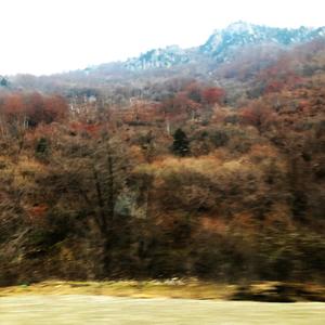 i could never do a thing