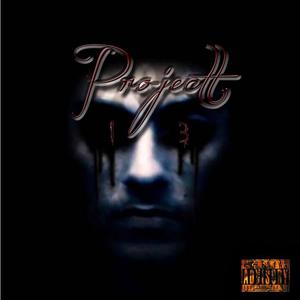 Project 13 (Explicit)