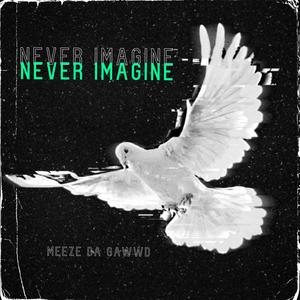 Never Imagine (Explicit)