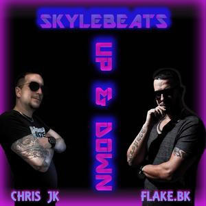Up And Down(feat. FLAKE.bk & Skyle Beats) (Explicit)