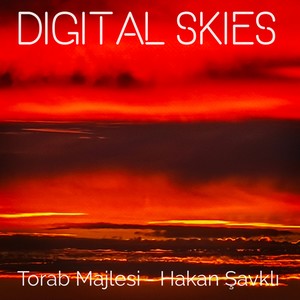 DIGITAL SKIES