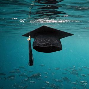 hate or adore (feat. thisBryce) (Explicit)