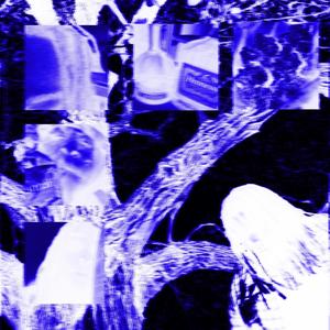 promised land (Explicit)