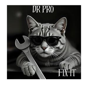 FIX IT (feat. Skitspro) (Explicit)
