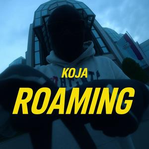 Roaming