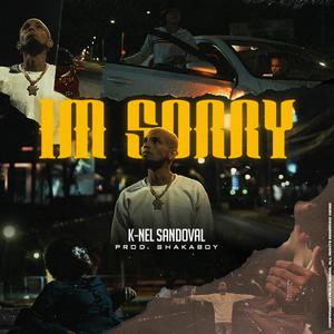 Im Sorry (feat. Shakaboy & Maxwell Beatz) (Explicit)