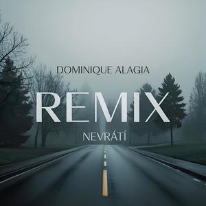 Dominique Alagia - Nevráti (feat. Dominique Alagia) (REMIX Dubstep by Zii EDM)