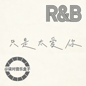 只是太爱你 (R&B版)封面