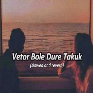 Vetor Bole Dure Takuk (Slowed and Reverb)