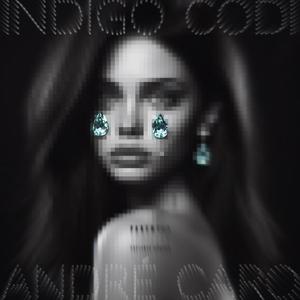 Diamonds (feat. Indigo Codi) [Explicit]