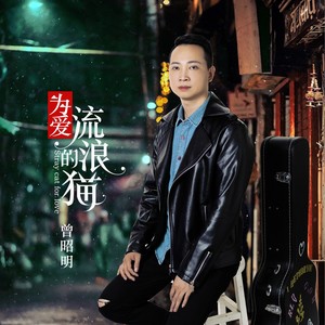 为爱流浪的猫 (DJ版)