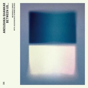 Chasing Shadows (feat. Manu Delago) (Live)