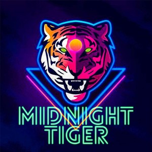 Midnight Tiger