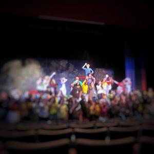The Theatre Life