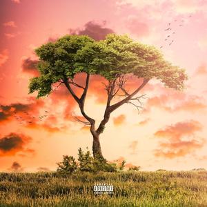 Trenches(feat. Hanad Bandz & Prenze) (Explicit)