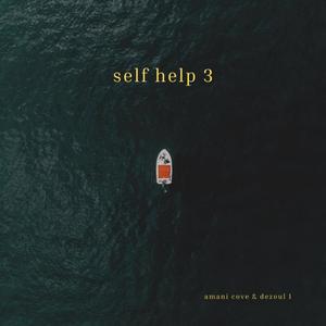 Self Help 3