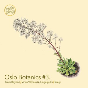 Oslo Botanics #3