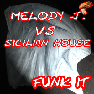 Funk It (Radio Version)