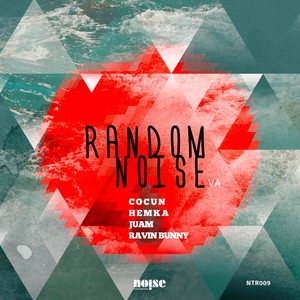 Random Noise