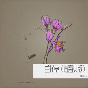 我从山中来 带着兰花草