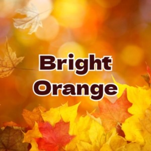 Bright orange