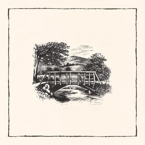 Rivers and Roads